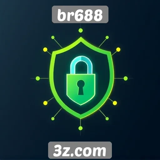 Avaliação de segurança e privacidade no br688